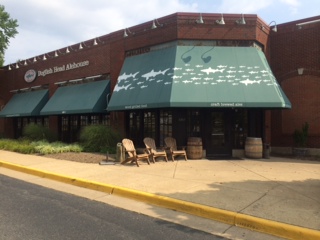 Dogfish photo