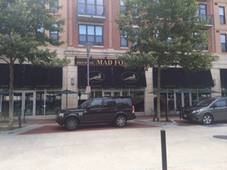 Mad Fox photo